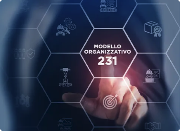 modello 231