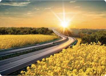 immagine strada in un campo fiorito campagna hvo